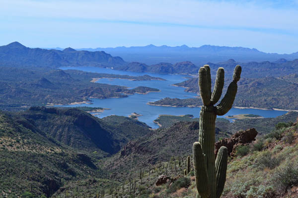 Bartlett Lake